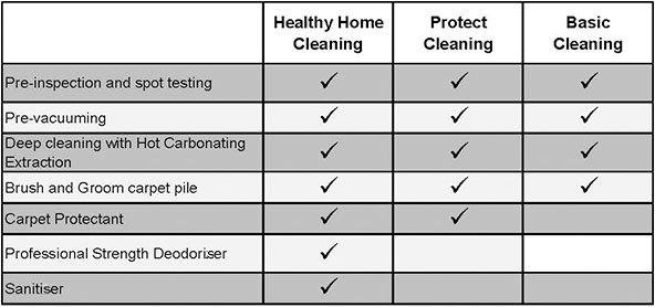 chem-dry-protectant-and-sanitizer-cleaning-packages